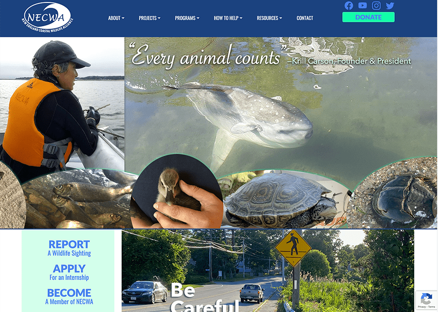 Screenshot of the NECWA website.